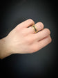 VICTORIAN ELEPHANT HAIR & 14CT GOLD BAND RING