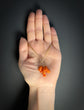 EARLY 19TH CENTURY PUNCHINELLO CORAL PENDANTS WITH LARGE BOLT RING BAIL