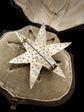 GEORGIAN PEARL STARFISH BROOCH WITH ORIGINAL BOX