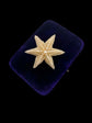 GEORGIAN PEARL STARFISH BROOCH WITH ORIGINAL BOX