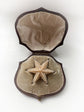 GEORGIAN PEARL STARFISH BROOCH WITH ORIGINAL BOX