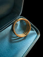 VICTORIAN ELEPHANT HAIR & 14CT GOLD BAND RING