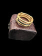 VICTORIAN ELEPHANT HAIR & 14CT GOLD BAND RING