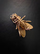 VICTORIAN 15CT GOLD FLY BROCH