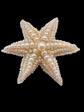 GEORGIAN PEARL STARFISH BROOCH WITH ORIGINAL BOX