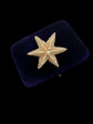 GEORGIAN PEARL STARFISH BROOCH WITH ORIGINAL BOX