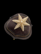 GEORGIAN PEARL STARFISH BROOCH WITH ORIGINAL BOX