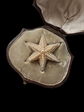 GEORGIAN PEARL STARFISH BROOCH WITH ORIGINAL BOX