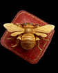 VICTORIAN 18CT GOLD BEE BROOCH