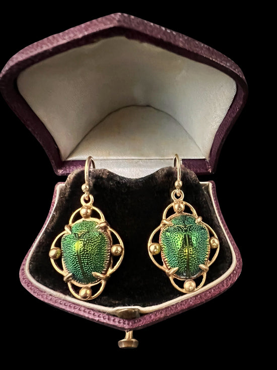 SCARAB BEETLE EARRINGS