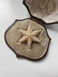 GEORGIAN PEARL STARFISH BROOCH WITH ORIGINAL BOX