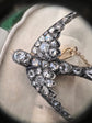 VICTORIAN DIAMOND SWALLOW BIRD BROOCH