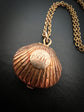 EARLY VICTORIAN SHELL VINAIGRETTE PENDANT