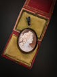 BACCHANTE SHELL CAMEO & JET PENDANT